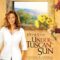 Under The Tuscan Sun – Dưới Nắng Trời Tuscan (2003) Full HD Vietsub