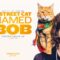 Chú Mèo Trên Đường Phố – A Street Cat Named Bob (2016) Full HD Vietsub