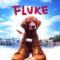 Chú chó Fluke – Fluke (1995) Full HD Vietsub