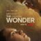 Phép Màu Ở Ireland – The Wonder (2022) Full HD Vietsub