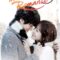 Khát Khao Hạnh Phúc – I Need Romance (2014) Full HD Thuyết Minh Tập 4
