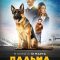 Chú Chó Plama – A Dog Named Palma (2021) Full HD Vietsub
