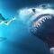 Cá Mập Trắng Khổng Lồ – The Requin (2022) Full HD Vietsub