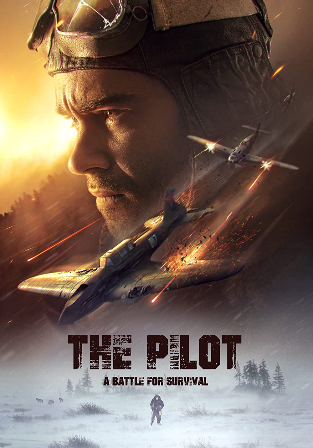 Cuộc chiến Sống Còn – The Pilot. A Battle For Survival (2021) Full HD Vietsub