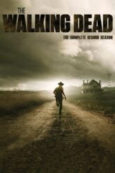 The-Walking-Dead-2