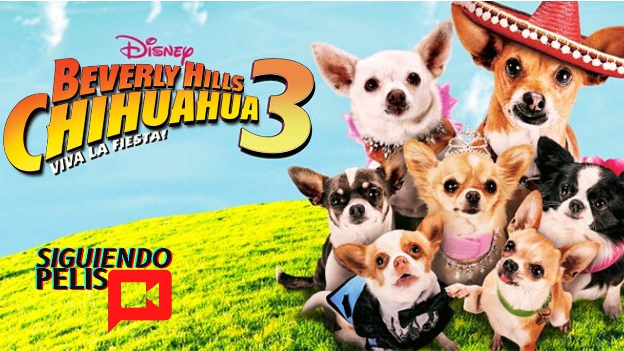 Những Chú Chó Chihuahua 3 – Beverly Hills Chihuahua 3: Viva la Fiesta! (2012) Full HD Vietsub