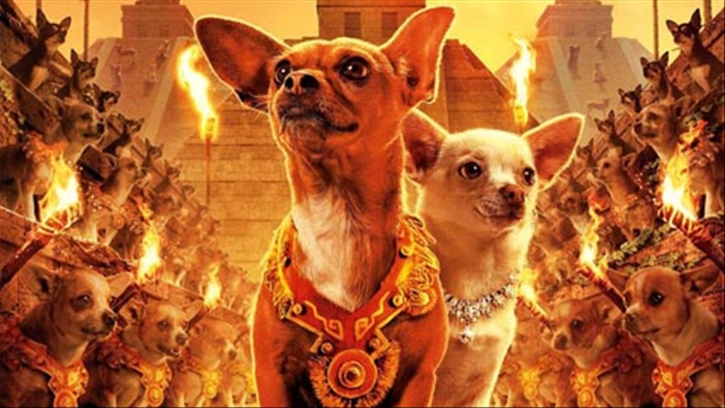 Những Chú Chó Chihuahua – Beverly Hills Chihuahua (2008) Full HD Vietsub