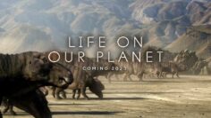 Life On Our Planet (2023)1