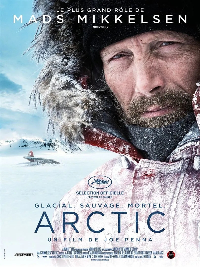 Sinh Tồn Ở Bắc Cực – Arctic (2019) Full HD Vietsub