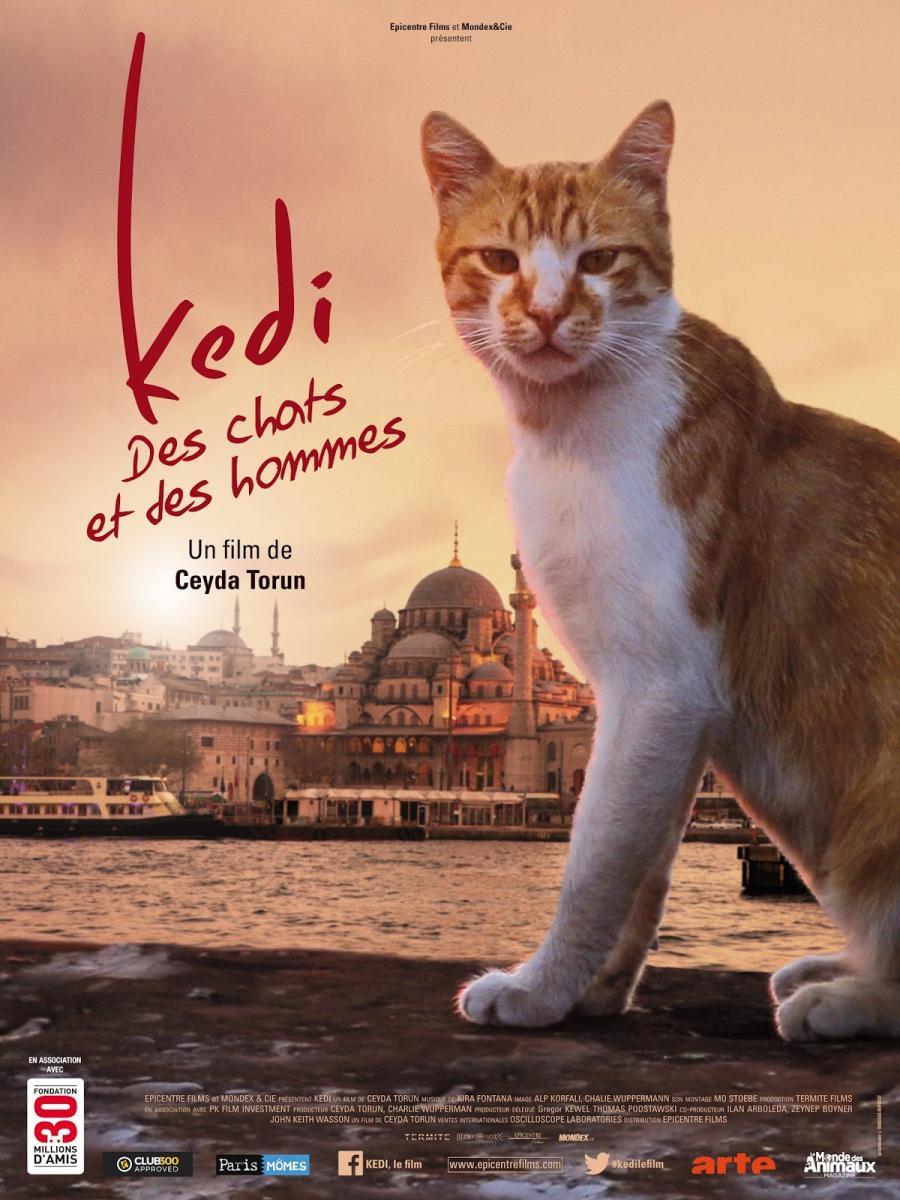 Thế Giới Loài Mèo – Kedi (2016) Full HD Vietsub