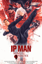 Ip Man Kung Fu Master