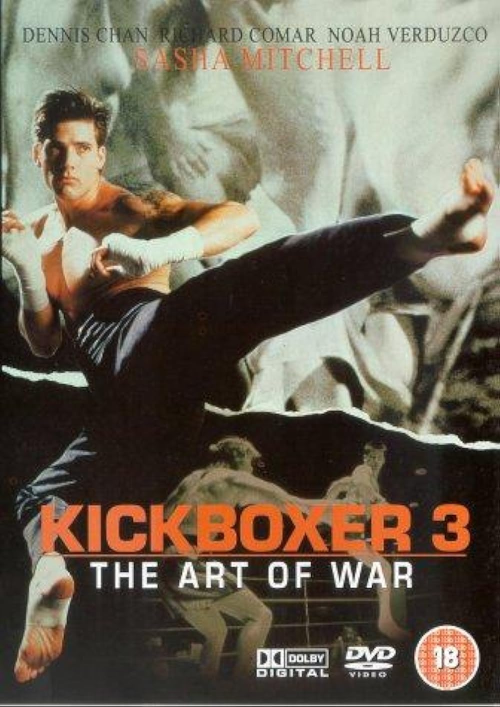 Võ Đài Đẫm Máu 3 – Kickboxer 3: The Art of War (1992) Full HD Vietsub