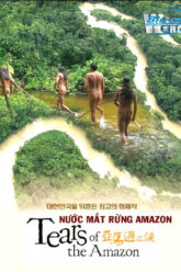 Tears In The Amazon